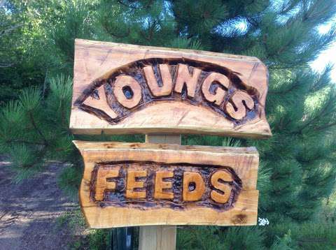 Young's feeds